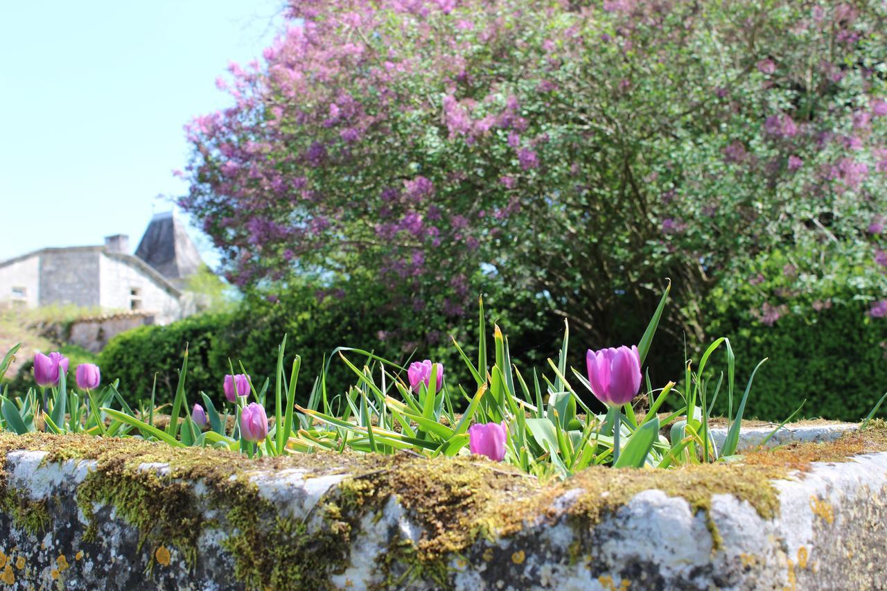 Chateau De Sers Sers  Exterior foto